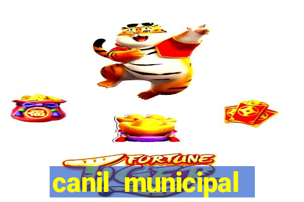 canil municipal porto alegre